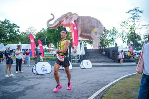 BIB: 
                            <button type="button" onclick="openModal(26551636)" class="btn btn-primary btn-sm float-right btn-popup" data-toggle="modal" data-target=".modal-high-quality">
                        <i class="fas fa-shopping-cart"></i> Add to Cart
                    </button>
                                            <button type="button" onclick="isThisMe(26551636, true)" class="btn btn-success btn-sm float-right btn-popup btn-isme hidden" data-toggle="tooltip" data-placement="bottom" title="นี่คือรูปของคุณใช่ไหม คลิกที่นี่เพื่อเอาเข้าอัลบั้ม">
                        <i class="fas fa-plus"></i> Add to album
                    </button>
                    <button type="button" onclick="isThisMe(26551636, false)" class="btn btn-warning btn-sm float-right btn-popup btn-isnotme hidden">
                        <i class="fas fa-ban"></i> Remove from album
                    </button>